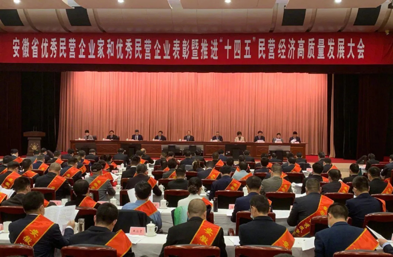 喜讯！z6尊龙科技总经理梁燕被授予“安徽省优秀民营企业家”称号